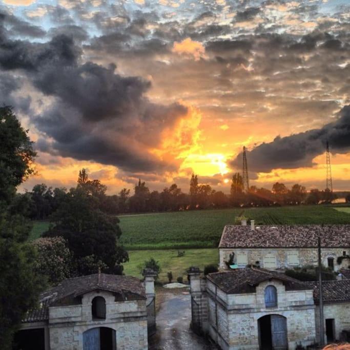 Chateau Couffins Asques Zewnętrze zdjęcie