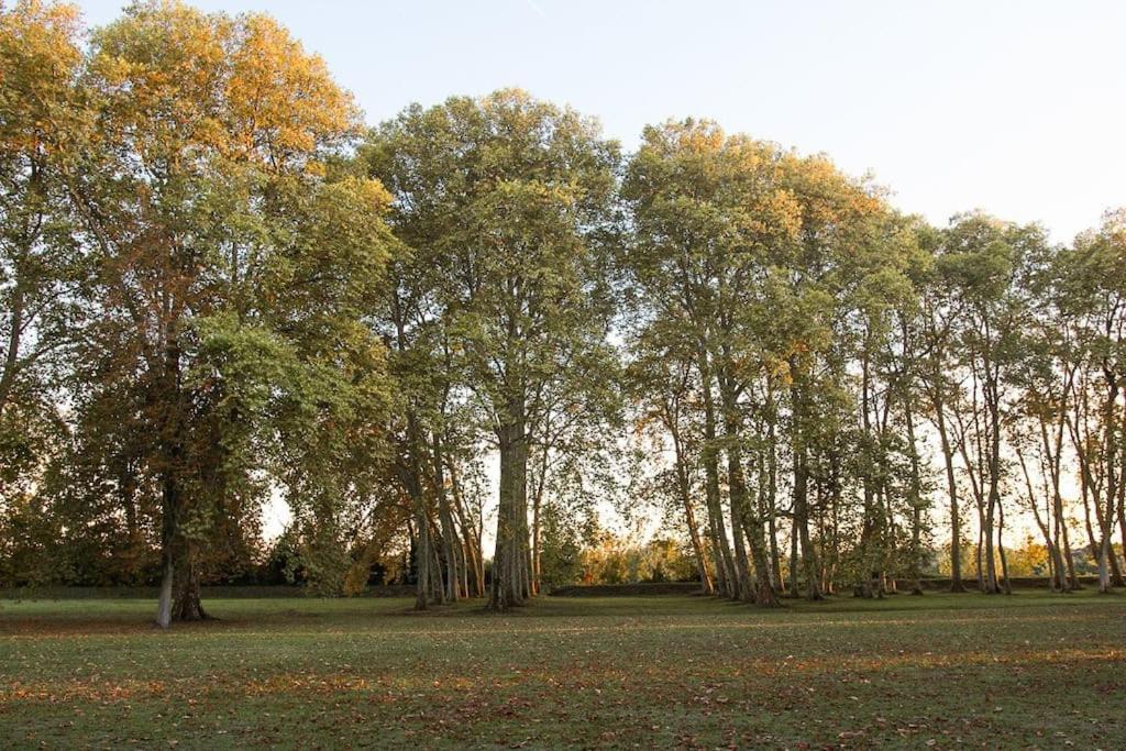 Chateau Couffins Asques Zewnętrze zdjęcie